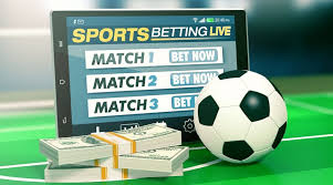 Exploring ARDI Bet The Future of Online Betting 1186183407 Exploring ARDI Bet The Future of Online Betting 1186183407